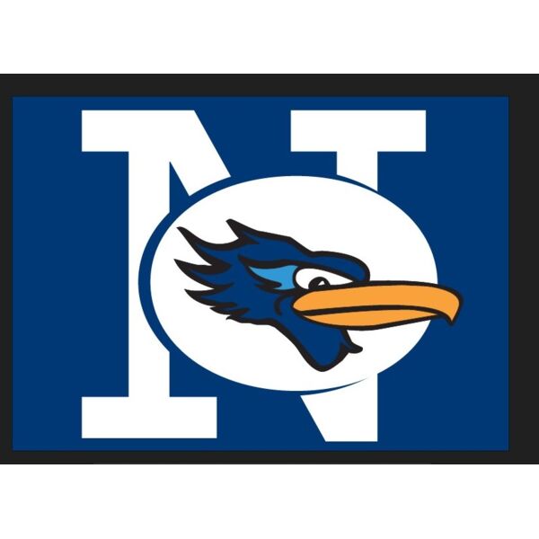 3x5 Flag No Pole Thumbnail