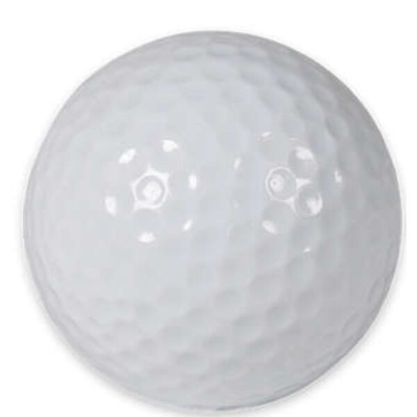 Titleist Pro V1X Thumbnail