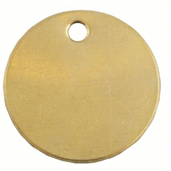 2" DISK, .020 GOLD SATIN BRASS TAGS W/RING AND S HOOK (DEATH TAGS) Thumbnail