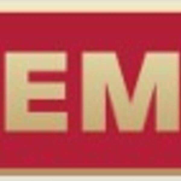 TEMS Award Pin-  Enamel 1 3/8x3/8 Thumbnail