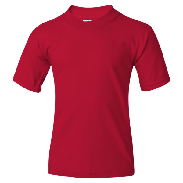 Dynasty HiDENSI-T Youth T-Shirt Thumbnail